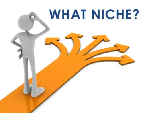 What Niche - Istiak Ahamed